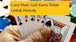 Cara Main Judi Kartu Poker Untuk Pemula
